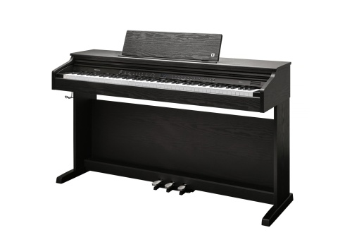 Kurzweil CUP E1 BK фото 2